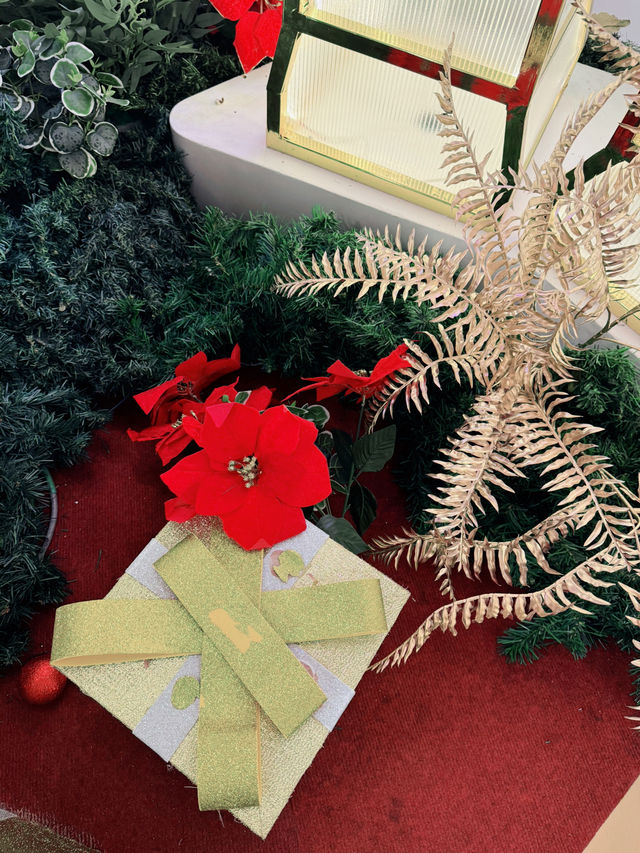 🎄✨ Magical Christmas Vibes