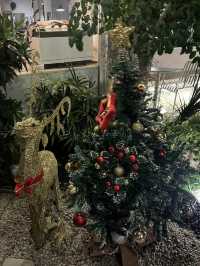 Date-Night Vibes at Flame & Fern JB ✨🍃🔥”