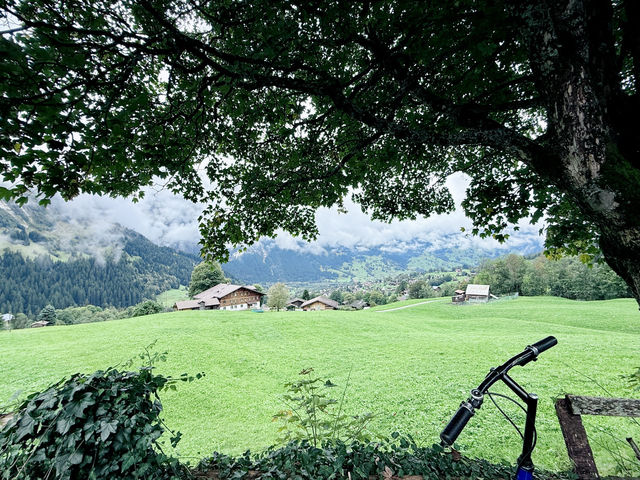 Grindelwald Dreamtrip🌞