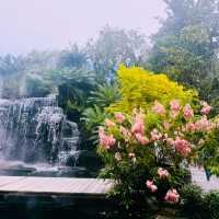 U Forests Cafe @ระยอง