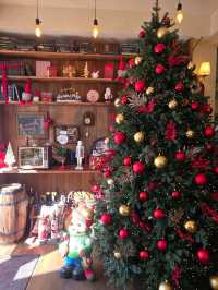 * ˖˟༝🎀˖˟ ༝˖˟뵈르뵈르하우스 청주점 : 유럽감성 브런치카페