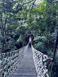 Nature Retreat Inn🍃