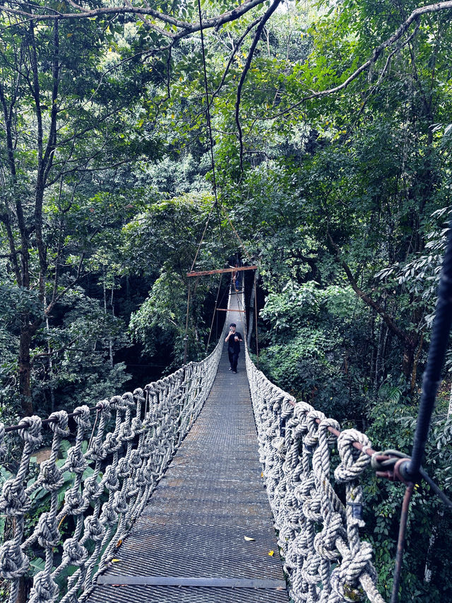 Nature Retreat Inn🍃