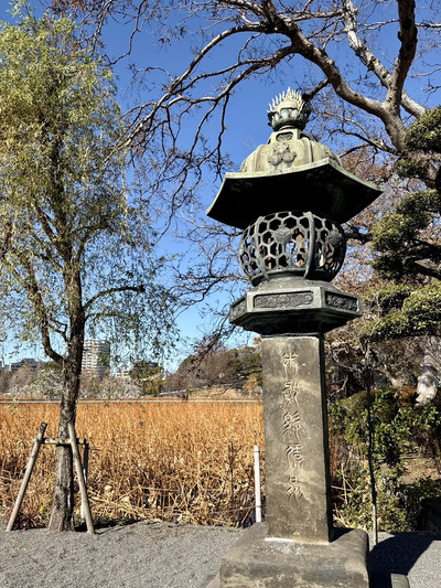 A Winter Walk Through Ueno Park and Shinobazu Pond | Trip.com Tokyo