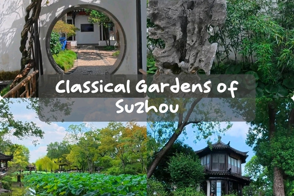 【中古】 虔十公園林 四万十緑林公園｜わざわざ行きたい！自然との調和を大切につくられた