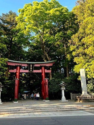 One of Niigata's Premier Power Spots... The Vibe at Yahiko Shrine Just Hits Different.
