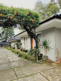 NICE HOTEL IN BERASTAGI.