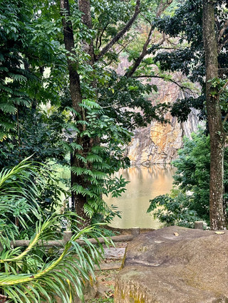 Quarry Beauty 🏞️	+ Nature’s Calm Corner 🌿 + Singapore’s Hidden Wonder 🇸🇬