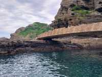 Chasing Jeju’s "Northern Lights": Finally Caught Yongmeori Open!