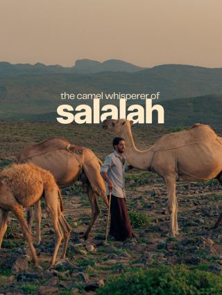 🌿 Salalah, Oman

Salalah is the capital of Oman’s Dhofar Governorate in the south of the country. It feels very different from Muscat because of its tropical-looking landscapes, misty mountains, coconut plantations and beautiful beaches.

🌧️ Best time to visit

The most famous season is Khareef, roughly June to September. During this period, monsoon winds bring mist, drizzle and cooler temperatures, turning the surrounding mountains green.

· June–September: Green landscapes, waterfalls, mist and cool weather
· October–April: Sunny, dry and generally pleasant
· May: Hotter and less green

For the iconic green Salalah experience: July–August is particularly popular.

🏞️ Top places to visit

1. Wadi Darbat
One of Salalah’s most beautiful natural attractions. During Khareef, the valley becomes lush and streams and waterfalls appear. Great for picnics, photography and a relaxing drive.

2. Mughsail Beach 🏖️
A spectacular coastline with dramatic cliffs, turquoise water and the famous Mughsail blowholes.

3. Al Fazayah Beach
A more secluded and dramatic beach west of Salalah, surrounded by mountains and cliffs.

4. Ayn Razat 💧
A beautiful spring area with gardens and greenery, especially pleasant during Khareef.

5. Jebel Samhan ⛰️
A spectacular mountain region offering dramatic views over Dhofar. The landscape can be covered in clouds and mist during Khareef.

6. Sultan Qaboos Mosque 🕌
One of the prominent landmarks in central Salalah. Visitors should follow the mosque’s dress and visiting guidelines.

7. Al Hafa Souq
A traditional market where you can shop for frankincense, perfumes, Omani crafts and souvenirs.

8. Frankincense Land Museum / Al Baleed Archaeological Park
An excellent place to learn about Dhofar’s ancient frankincense trade and history.

🌴 What makes Salalah special?

Salalah is famous for its coconut palms, bananas, papayas and frankincense trees. During Khareef, the mountains around the city can become surprisingly green, creating scenery that looks quite different from the desert landscapes usually associated with Oman.

🚗 Getting around

For exploring places such as Wadi Darbat, Mughsail and the mountain areas, renting a car is usually the most convenient option. Distances outside the city can be considerable, and public transportation is limited for sightseeing.

💰 Budget

Salalah can be relatively affordable compared with some Gulf tourist destinations, but prices rise during the Khareef season.

A rough daily budget excluding flights:

· Budget: OMR 15–25
· Mid-range: OMR 30–60
· Luxury: OMR 80+

Accommodation and car rental can become noticeably more expensive during peak Khareef.

✈️ How to reach Salalah

The easiest option is Salalah International Airport (SLL). There are domestic flights from Muscat, as well as international connections that vary by season and airline.

