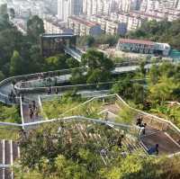 Xiamen home of beauty 