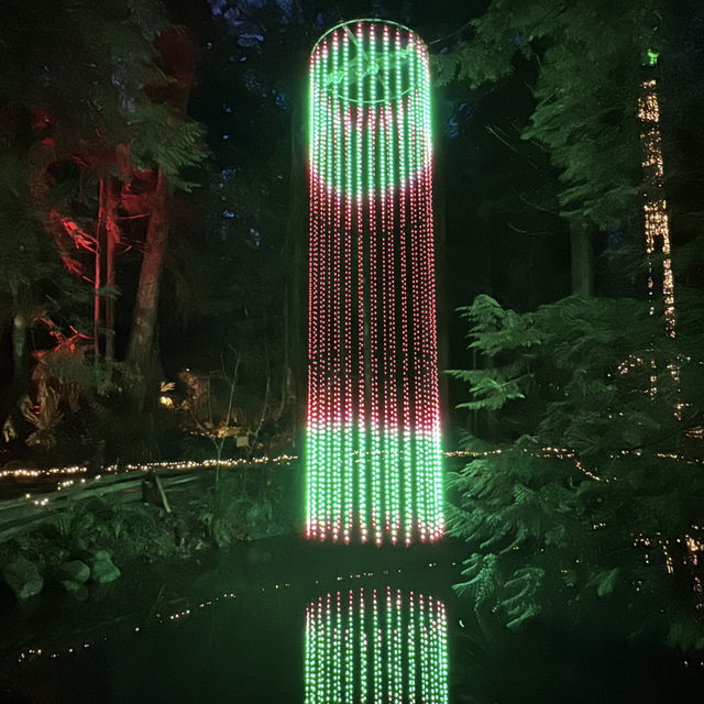 capilano suspension bridge 