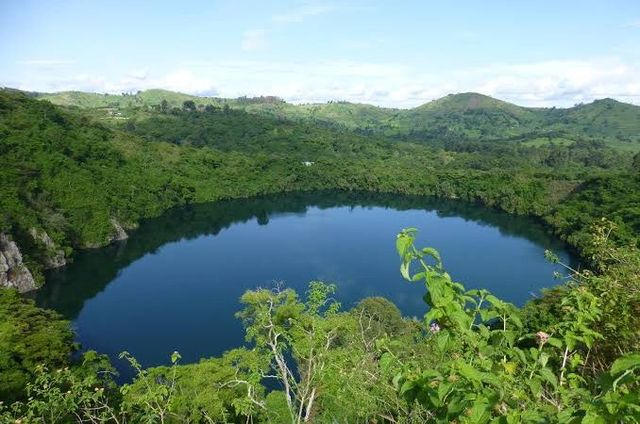 KIBALE FOREST TOURS 