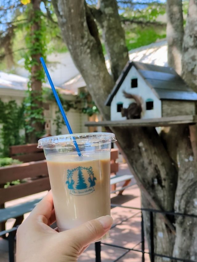 Blue Spruce Tokachiya: Your Garden Table Awaits 🐿️☕️
