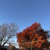 Sherwood… breath of Arkansas