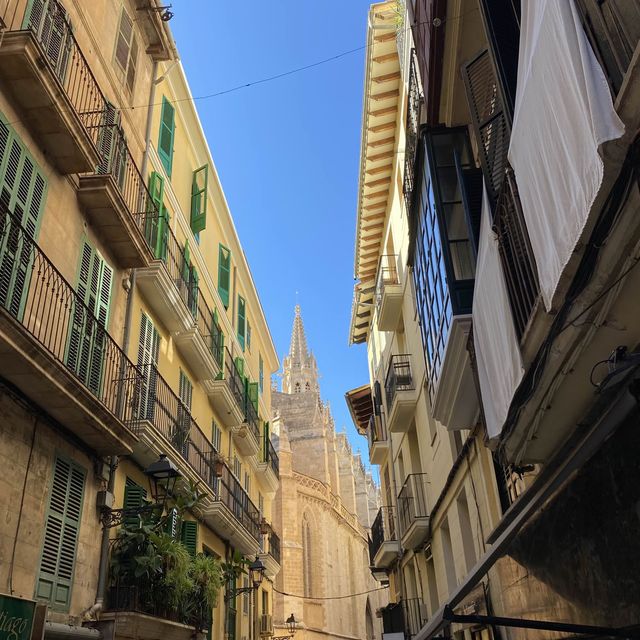 Majorca, Mallorca, surprisingly aesthetic! 