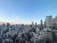 🏙人氣東京酒店🍳日比谷Blossom