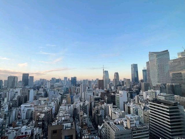 🏙人氣東京酒店🍳日比谷Blossom