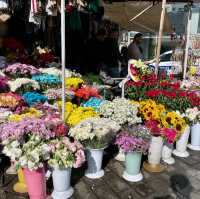 Taksim's Embrace: Where History Dances