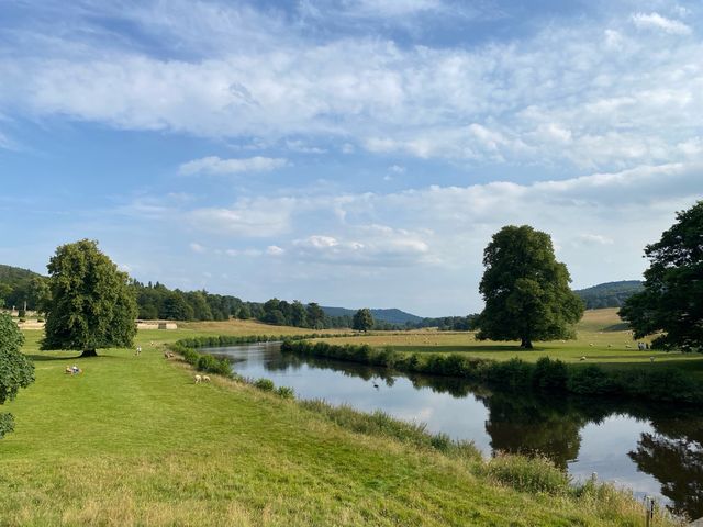 Chatsworth House: A Day with the Sheep 🐑🏰