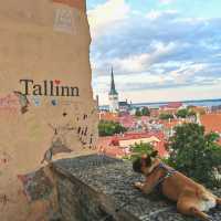Medieval Town of Tallinn