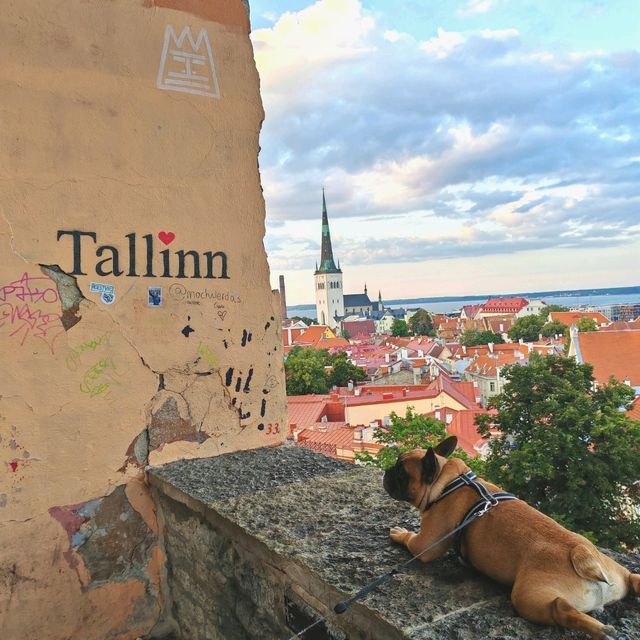 Medieval Town of Tallinn