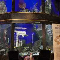 Roll in €€€ at this casino in Cannes!