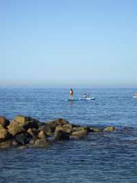 Mexico | Swim with Dolphin and enjoy the sea view