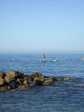Mexico | Swim with Dolphin and enjoy the sea view。