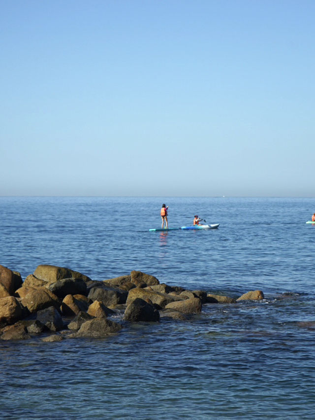 Mexico | Swim with Dolphin and enjoy the sea view