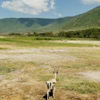Into the heart of Ngorongoro