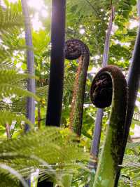 Kew Gardens: London’s Green Oasis of Wonders