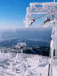 Tokyo to Yamagata Zao Onsen: The Perfect Getaway for Skiers & Non-Skiers Alike ❄️🏔️♨️