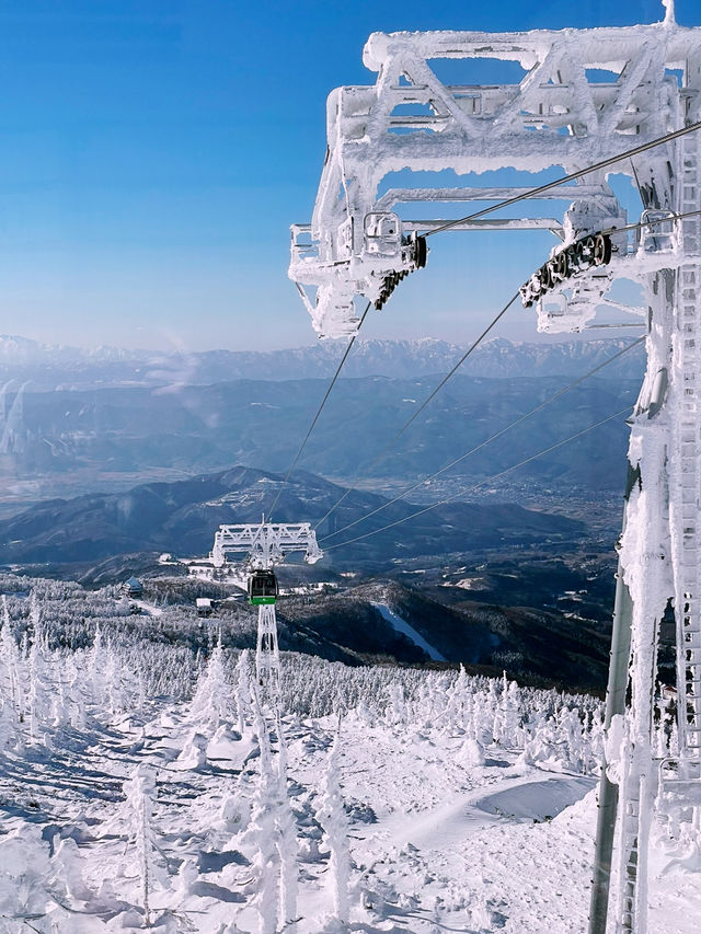Tokyo to Yamagata Zao Onsen: The Perfect Getaway for Skiers & Non-Skiers Alike ❄️🏔️♨️