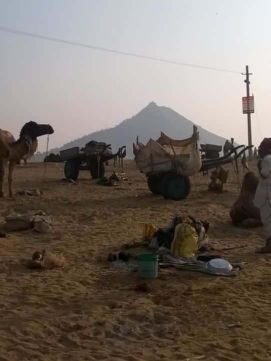Pushkar Camel Fair – A Vibrant Spectacle in Rajasthan
