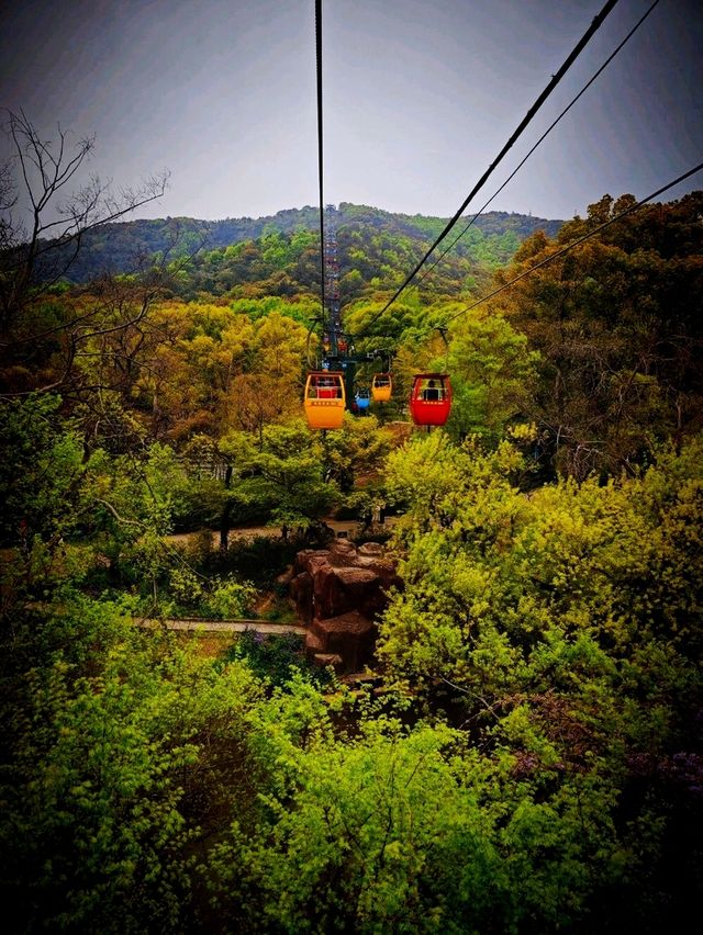 Wuxi Day Trip: Huishan Ancient Town & Nanchang Street
