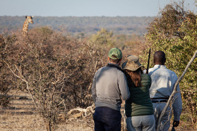 Victoria Falls Safari Special – Only US$440pps