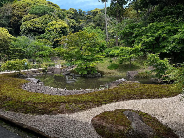 The main temple of the Rinzai sect Enkakuji school
