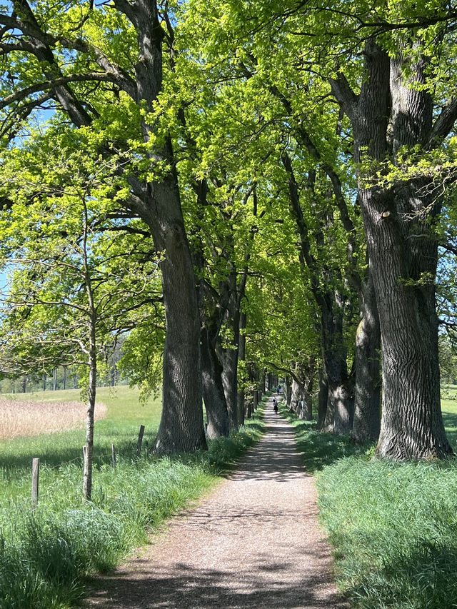 **Egglsee in Ebersberg：湖光森林裡的隱藏版療癒時光**  