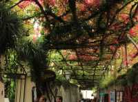 Positano. Living la dolce vita on the Amalfi Coast