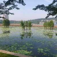 Nice parks with lakes