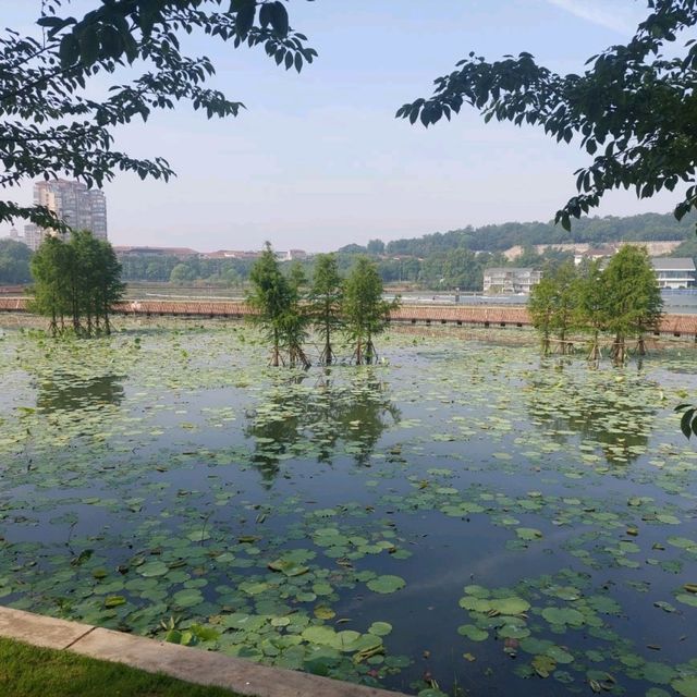 Nice parks with lakes