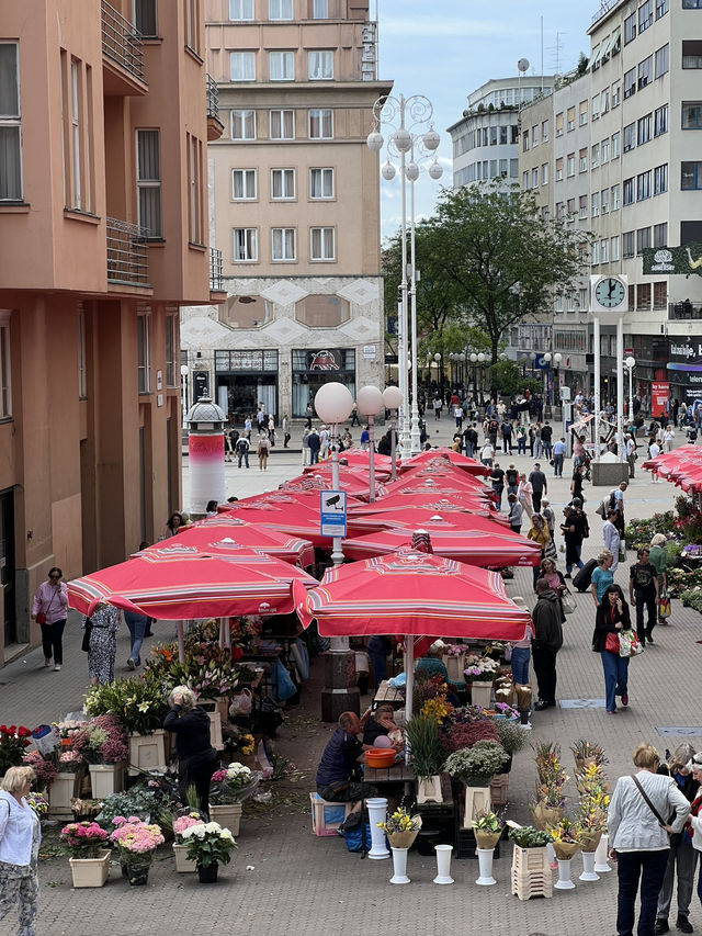 🇭🇷 克羅埃西亞薩格勒布（Zagreb） 🍒
