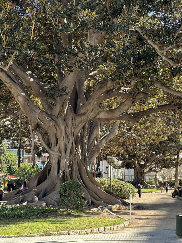 Why Valencia Is My Favorite Spanish City for Beaches and Summer Vibes