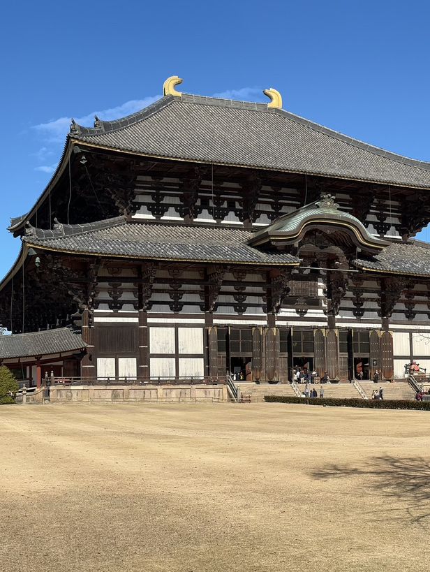 Nara’s ancient vibes meet jaw-dropping temples