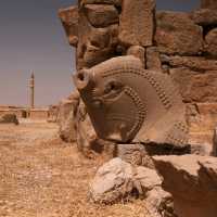 Statues, Persepolis  🏛️🗿 / 2025