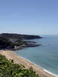 The Shilla Jeju๐ One of the best stay experiences in Jeju