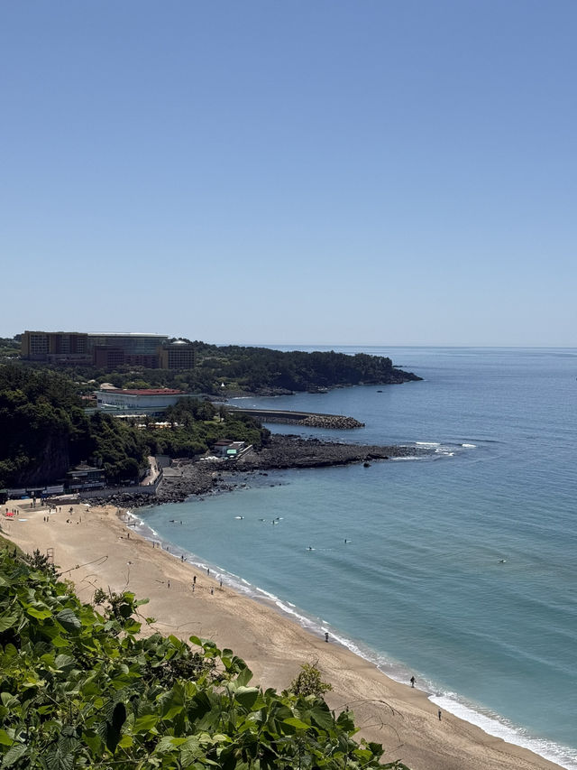 The Shilla Jeju๐ One of the best stay experiences in Jeju The Shilla Jeju๐ One of the best stay experiences in Jeju