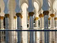 Modern Oasis Vibes🌴