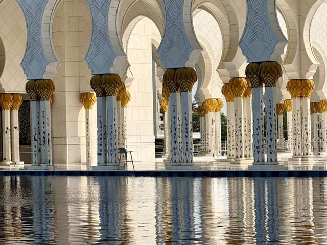 Modern Oasis Vibes🌴